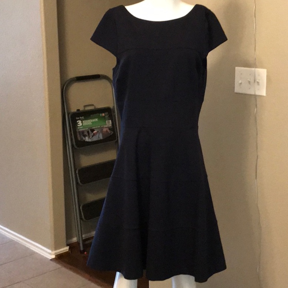 Banana Republic Fit & Flair dress